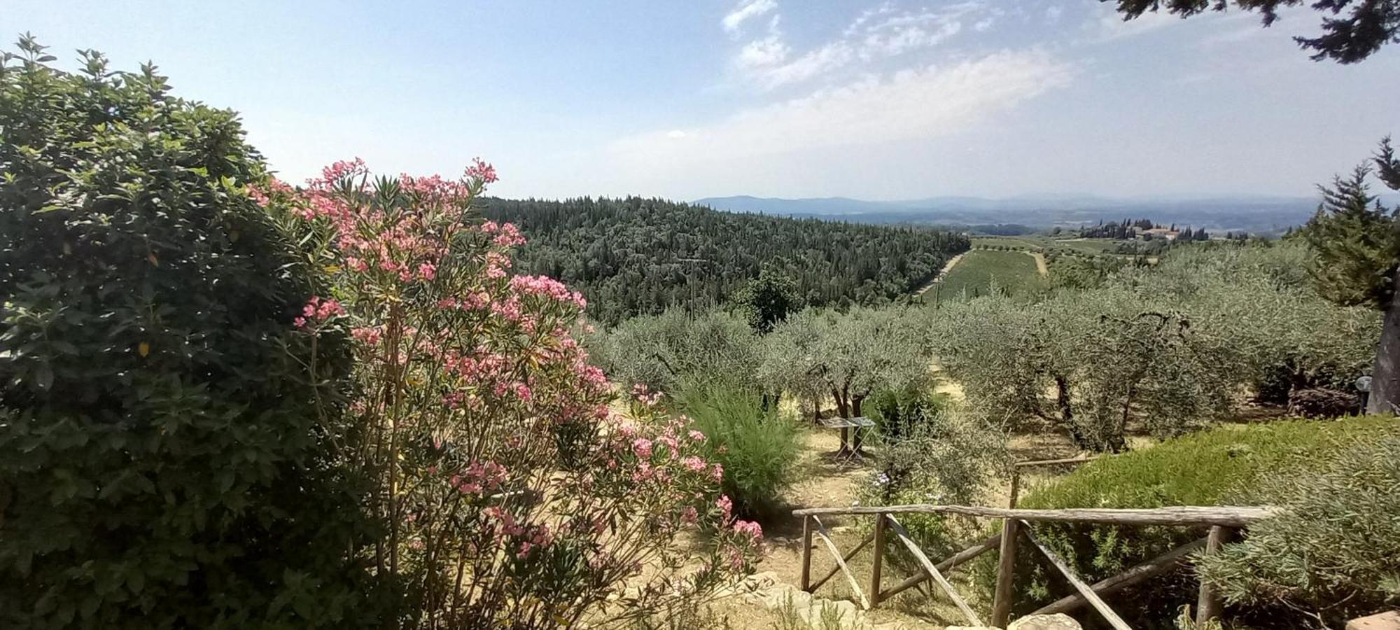 Borgo Nel Chianti Istrice Con Piscina Tennis E Wifi Castellina in Chianti Luaran gambar